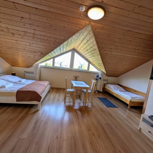 PXL_20250429_115402391.MP~2