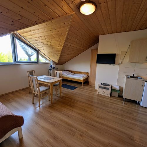 PXL_20250429_115428134.MP~2