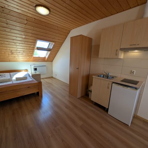 PXL_20250429_120203572.MP