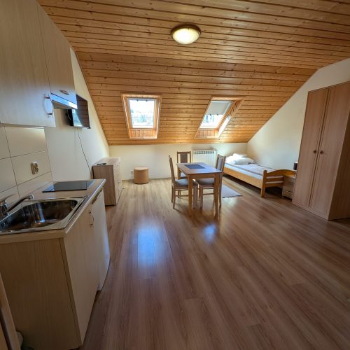 PXL_20250429_120216591.MP