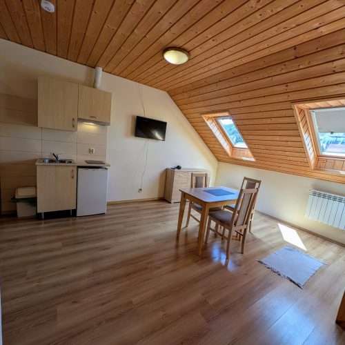 PXL_20250429_120356695.MP~2