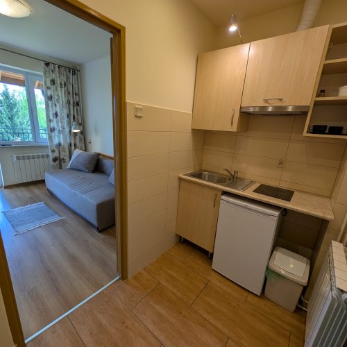 PXL_20250429_121419147.MP