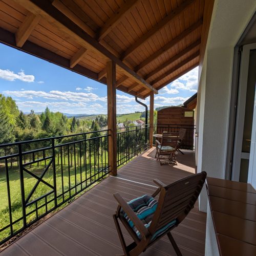 PXL_20250429_121618625.MP