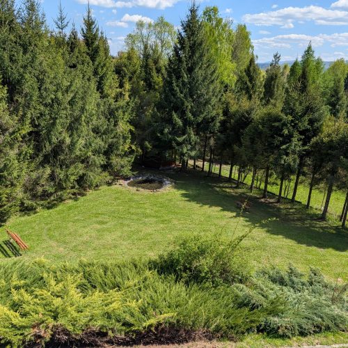 PXL_20250429_121639950.MP