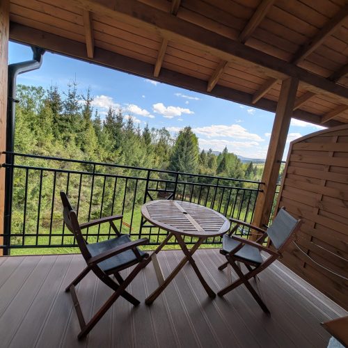 PXL_20250429_122538518.MP