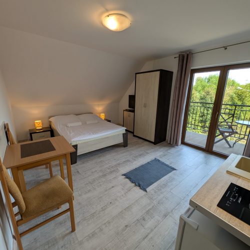 PXL_20250429_133850382.MP (1)